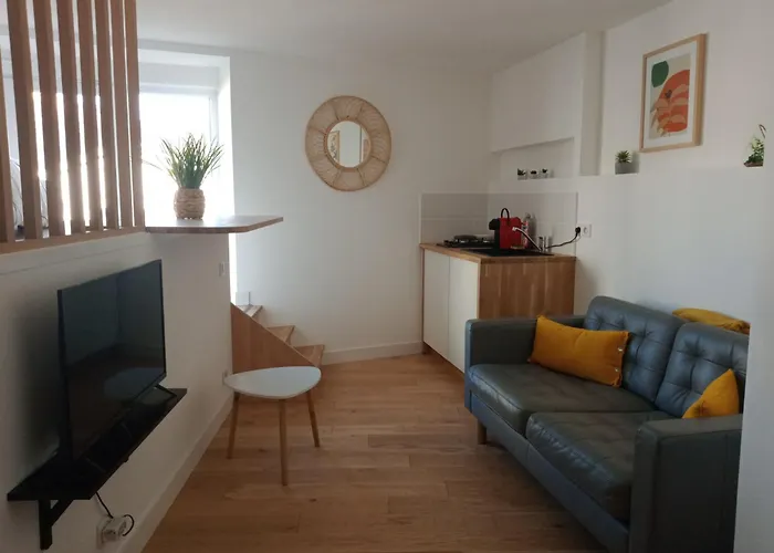 Appartement Atypique Et Chaleureux Coeur D'ancenis Ancenis